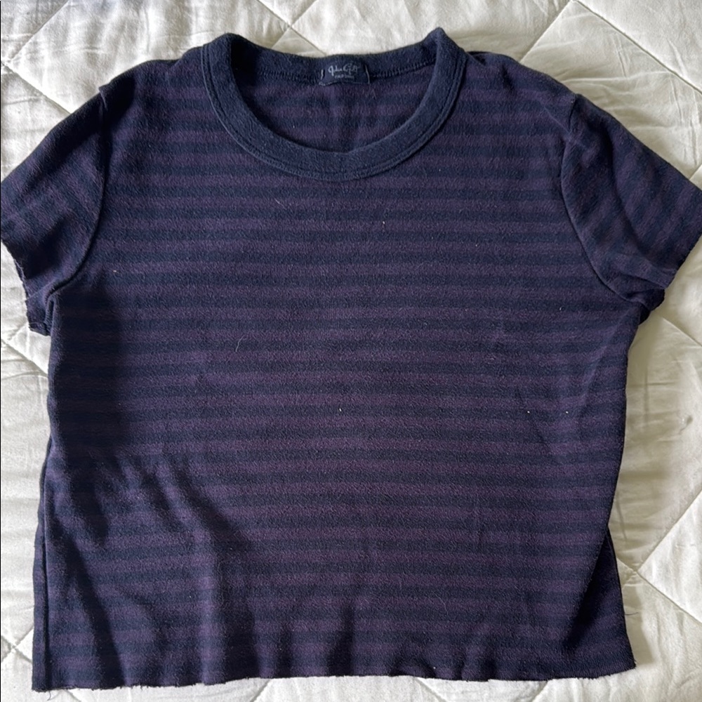 Brandy Melville Blue and Gray Crop Fitted Tee